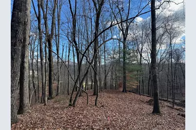 200 Mincey Acres Drive, Murrayville, GA 30564 - Photo 3