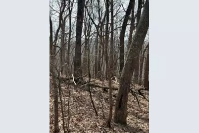 00 Burnt Mountain Ridge Road, Jasper, GA 30143 - Photo 13