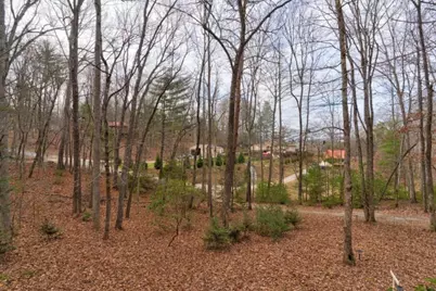 80 Treetop Lane, Blairsville, GA 30512 - Photo 27