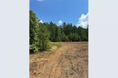 Tr 2 Culp Lake Road, Cedartown, GA 30125 - Photo 7