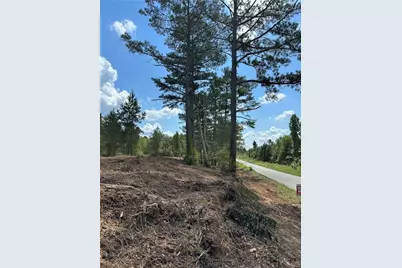 Tr 2 Culp Lake Road, Cedartown, GA 30125 - Photo 5