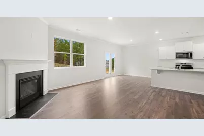 73 Capital Court, Braselton, GA 30517 - Photo 13