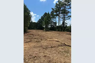 Tr 3 Culp Lake Road, Cedartown, GA 30125 - Photo 5