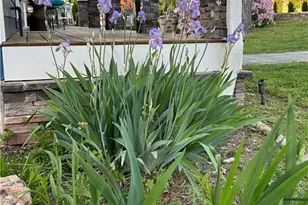 4060 Merritt Dr, Cumming, GA 30041 - Photo 101