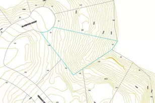 4610 Blakeford Ct, Flowery Branch, GA 30542 - Photo 17