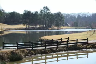 4610 Blakeford Ct, Flowery Branch, GA 30542 - Photo 19