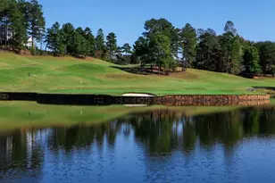 4610 Blakeford Ct, Flowery Branch, GA 30542 - Photo 19