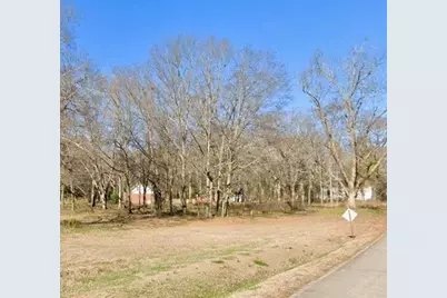 124 Roberts Rd, Locust Grove, GA 30248 - Photo 3