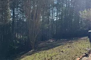 89 Cottonwood Loop, Dallas, GA 30132 - Photo 27