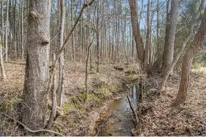 490 Dorsey Road, Hampton, GA 30228 - Photo 65