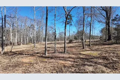 725 Old Jackson Rd, McDonough, GA 30252 - Photo 53