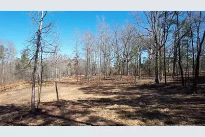 725 Old Jackson Rd, McDonough, GA 30252 - Photo 9