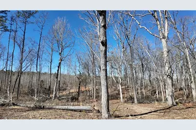 725 Old Jackson Rd, McDonough, GA 30252 - Photo 27