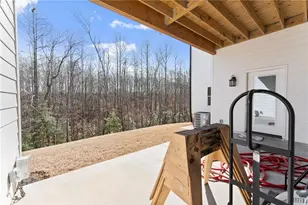 254 Samson Wy, Cleveland, GA 30528 - Photo 69