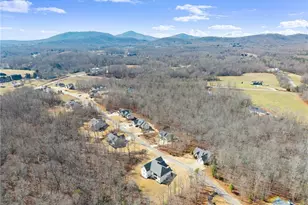 254 Samson Wy, Cleveland, GA 30528 - Photo 85