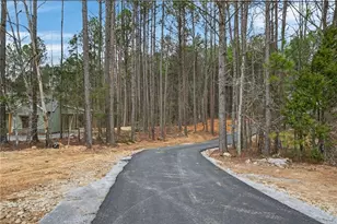 971 Drummond Rd, Cedartown, GA 30125 - Photo 3