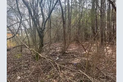 0 West Drive, Rome, GA 30165 - Photo 5