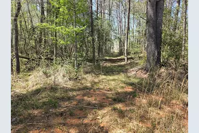 0 Thurmond Road 8.64 Acres Road, Cleveland, GA 30528 - Photo 7