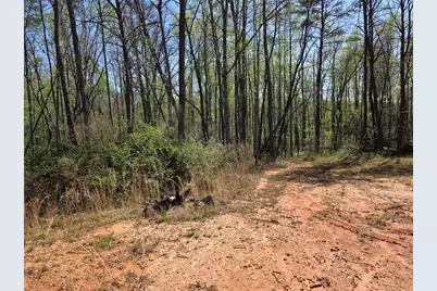0 Thurmond Road 8.64 Acres Road, Cleveland, GA 30528 - Photo 5