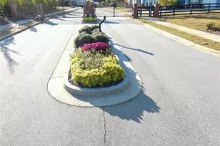 2927 Rambler Dr, Loganville, GA 30052 - Photo 63