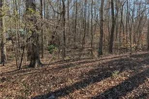 5995 N Bear Dr, Douglasville, GA 30135 - Photo 21