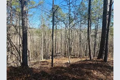 9590 Grande Drive, Winston, GA 30187 - Photo 3