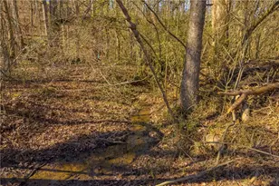 446 Flat Creek Dr, Dawsonville, GA 30534 - Photo 11