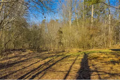 446 Flat Creek Drive, Dawsonville, GA 30534 - Photo 13