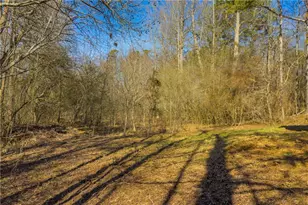 446 Flat Creek Dr, Dawsonville, GA 30534 - Photo 13