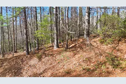 465 Yates Circle, Clarkesville, GA 30523 - Photo 3