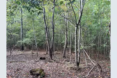 0 Rockfence Road, Adairsville, GA 30103 - Photo 13