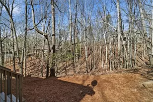 112 Canada Geese Point, Big Canoe, GA 30143 - Photo 43