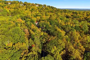 112 Canada Geese Point, Big Canoe, GA 30143 - Photo 49