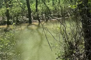 0 N 411 Hwy Hwy, Eton, GA 30705 - Photo 3