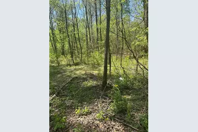 0 N. 411 Hwy Highway, Eton, GA 30705 - Photo 5