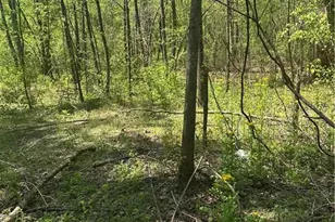 0 N 411 Hwy Hwy, Eton, GA 30705 - Photo 5