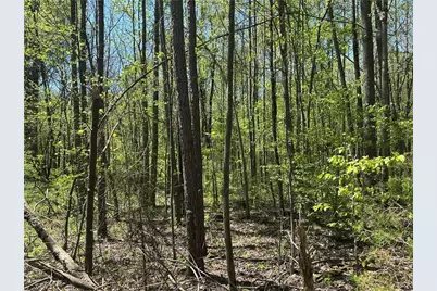 0 N. 411 Hwy Highway, Eton, GA 30705 - Photo 9