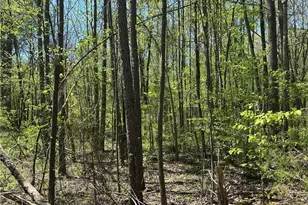 0 N 411 Hwy Hwy, Eton, GA 30705 - Photo 9