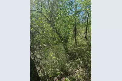 0 N. 411 Hwy Highway, Eton, GA 30705 - Photo 7