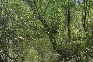 0 N 411 Hwy Hwy, Eton, GA 30705 - Photo 7