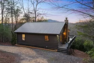 118 Lakota Ln, Mineral Bluff, GA 30559 - Photo 3