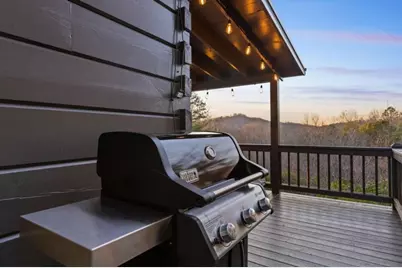 118 Lakota Lane, Mineral Bluff, GA 30559 - Photo 31