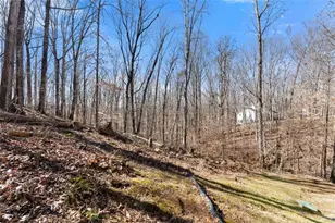 5082 Peach Mountain Cir, Gainesville, GA 30507 - Photo 33