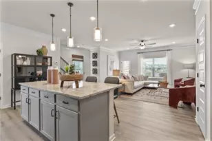 310 Caroline Pl, Villa Rica, GA 30180 - Photo 11