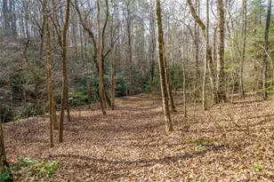 577 Macedonia Church Rd, Blue Ridge, GA 30513 - Photo 65