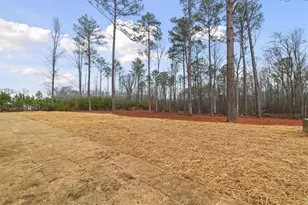 419 Lively Rd, Waco, GA 30182 - Photo 43