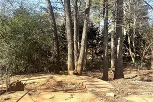 4210 Woodwin Ct, Atlanta, GA 30360 - Photo 13