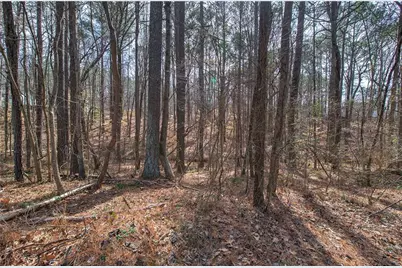 299 Browning Circle, Acworth, GA 30101 - Photo 37