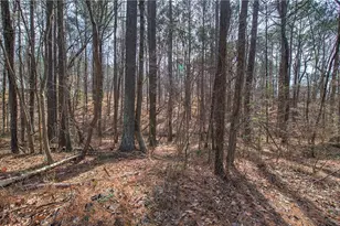 299 Browning Cir, Acworth, GA 30101 - Photo 37