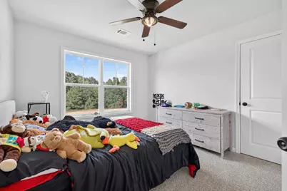 267 Bear Creek Meadows Drive, Bogart, GA 30622 - Photo 23